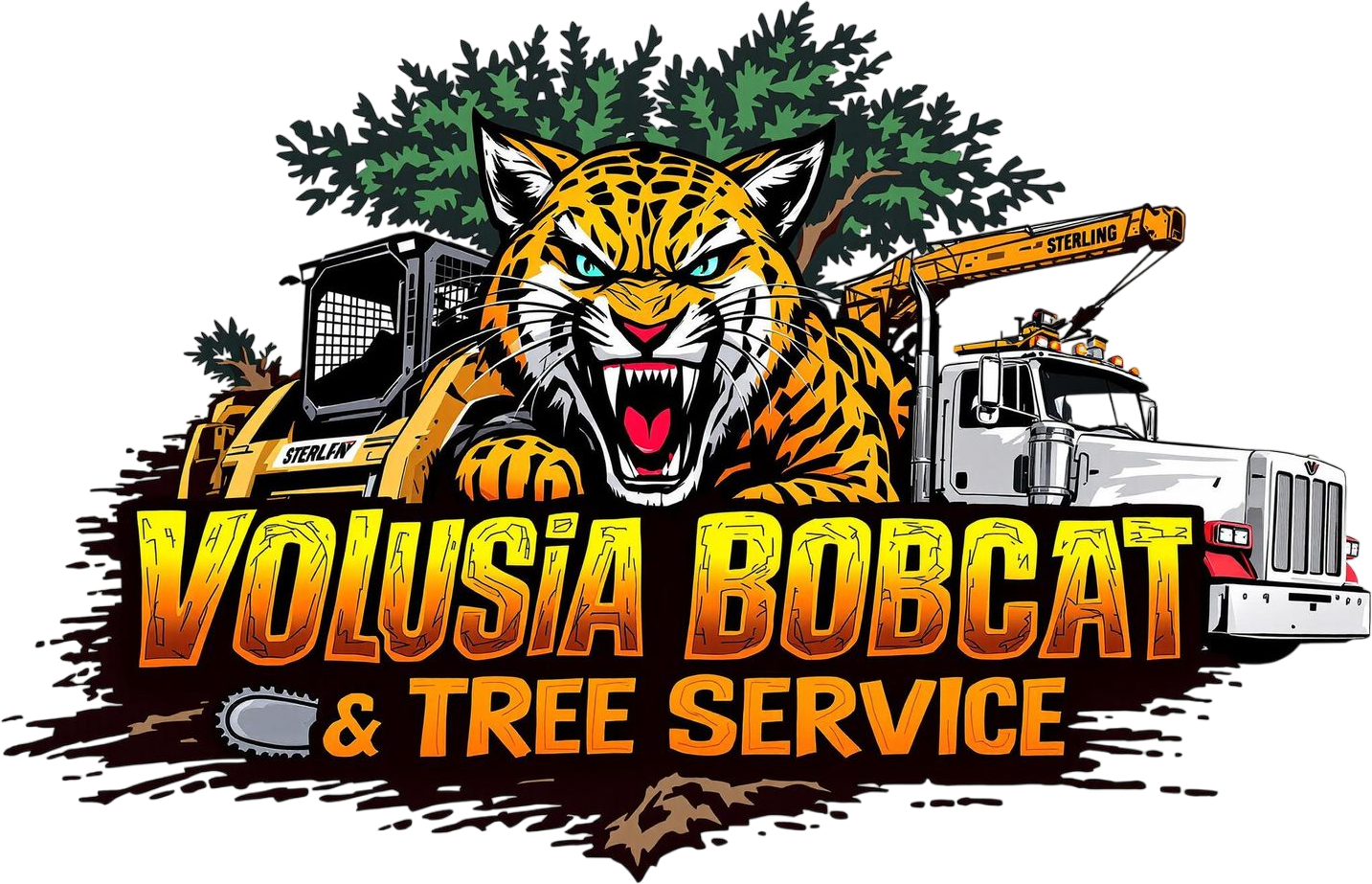 Professional New Smyrna Tree Care | Tree Service Near Me